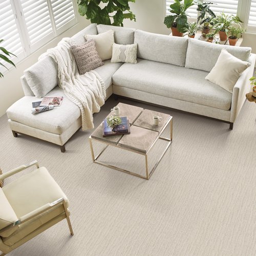 white couch in living room with carpet
